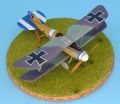 Eduard 1/48 Albatros D.V  -     B