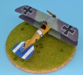 Eduard 1/48 Albatros D.V  -     B