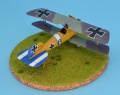 Eduard 1/48 Albatros D.V  -     B