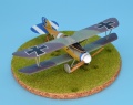 Eduard 1/48 Albatros D.V  -     B