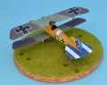 Eduard 1/48 Albatros D.V  -     B