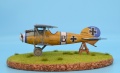 Eduard 1/48 Albatros D.V  -     B