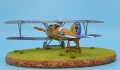 Eduard 1/48 Albatros D.V  -     B