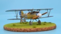 Eduard 1/48 Albatros D.V  -     B