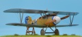 Eduard 1/48 Albatros D.V  -     B