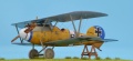 Eduard 1/48 Albatros D.V  -     B