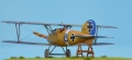 Eduard 1/48 Albatros D.V  - Рыцарь неба на букву B