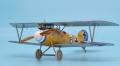 Eduard 1/48 Albatros D.V  -     B