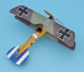 Eduard 1/48 Albatros D.V  -     B