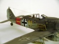 Eduard 1/48 Focke-Wulf  Fw-190A-8