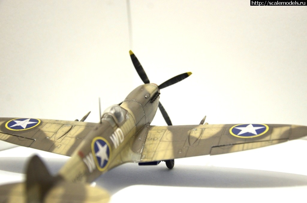 1614689325_CF8BF991-E4B0-4EDF-93E8-4F95E4E976C6.jpeg : #1672913/ Eduard 1/48 Spitfire Mk.IX(#14844) -   