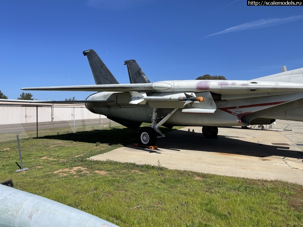 1616047387_D801A3A6-3F2F-463C-A7FD-09D326B90E40.jpeg : F-14A Grumman Walk around  