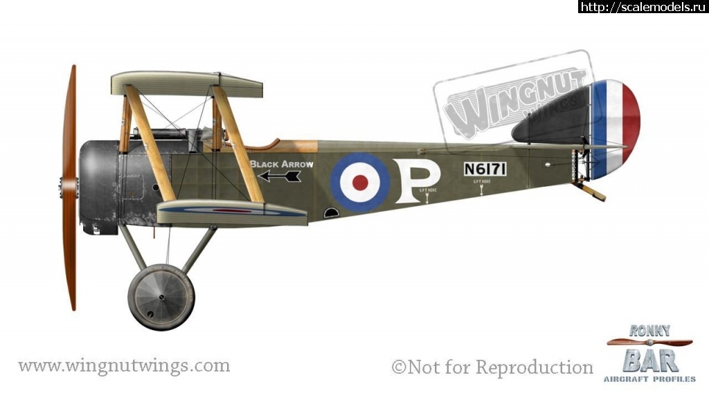 1617221237_N6171--Black-Arrow--Sopwith-built-3N-Sqn-FSLt--Pierce-April-May-1917.jpg : Wingnut Wings 1/32 Sopwith Pup RNAS  