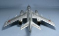 A-model 1/72 -28 -  ! ,   ...