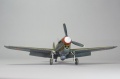 Special Hobby 1/72 P-40N - !