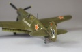 Special Hobby 1/72 P-40N - !