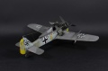 Eduard 1/48 FW 190A-4 Oblt. S. Schnell, CO of 9./JG 2