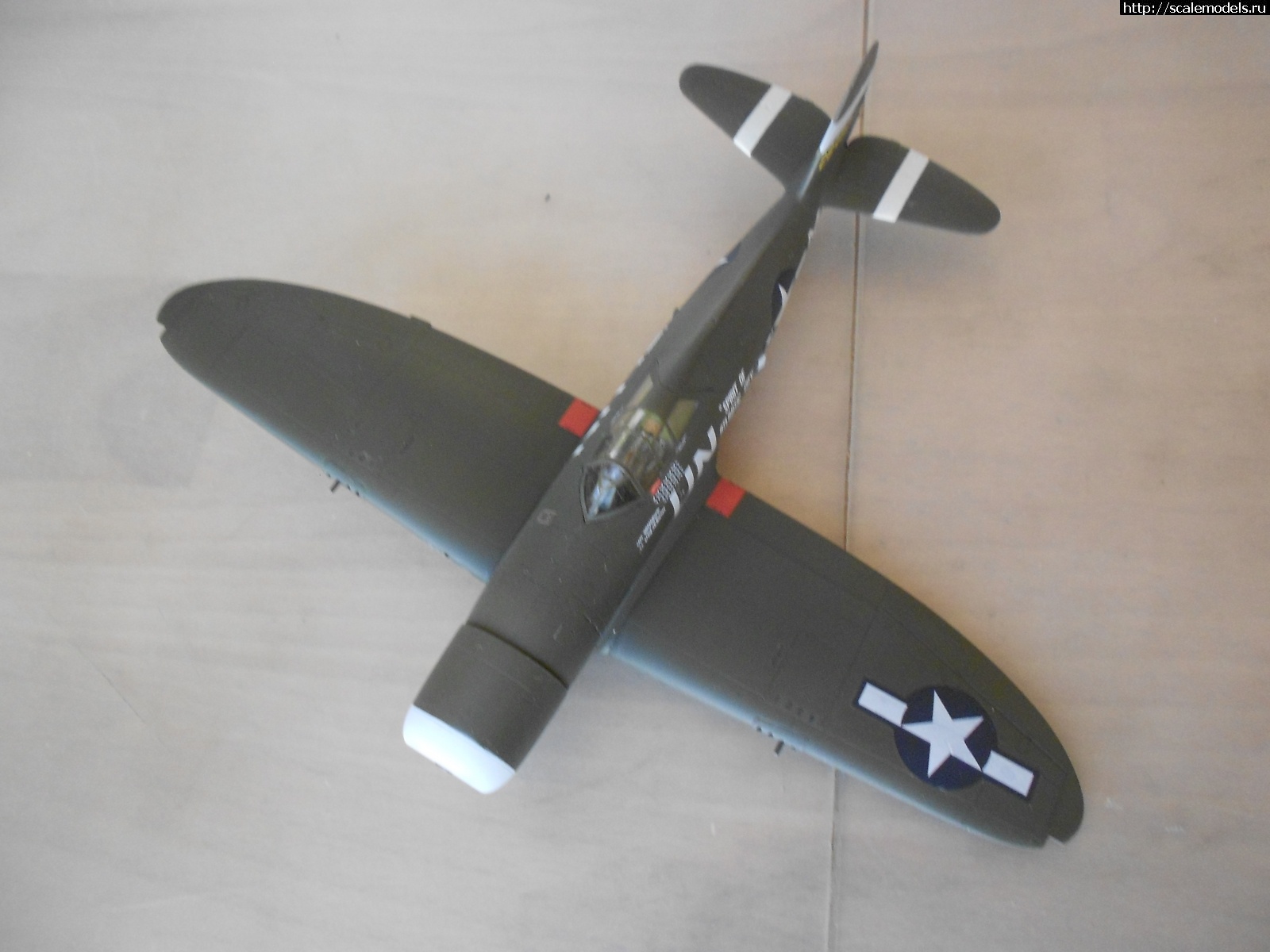 1618042823_DSCN0258.JPG : #1679948/ P-47D Razorback Tamiya 1/72    