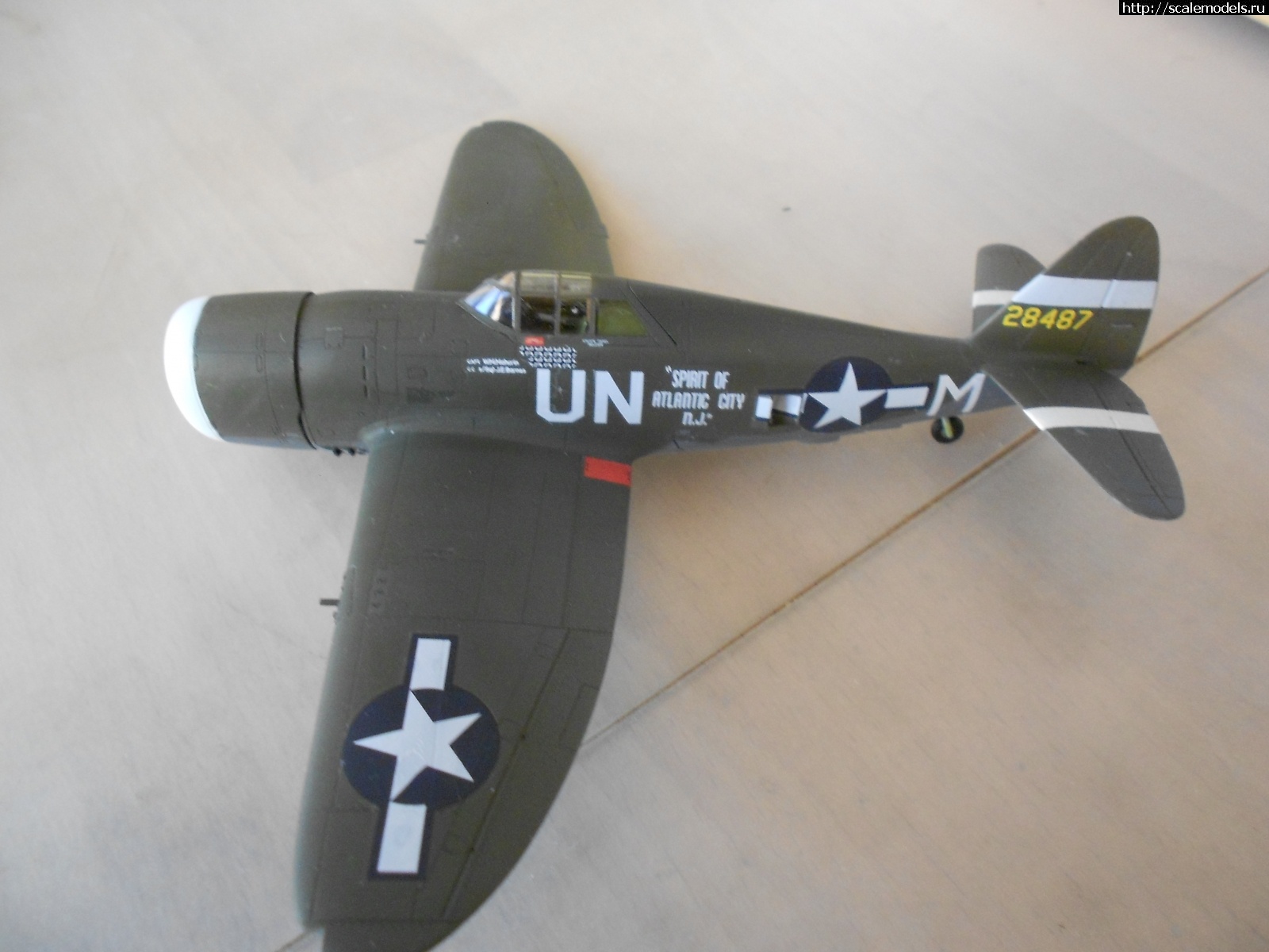 1618042832_DSCN0259.JPG : #1679948/ P-47D Razorback Tamiya 1/72    