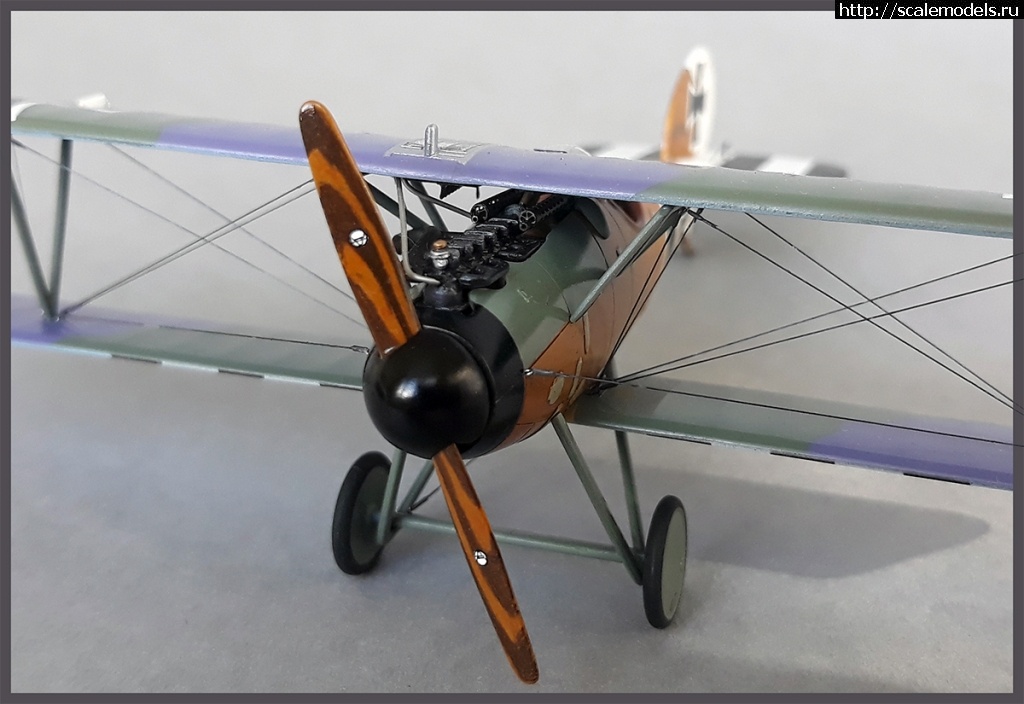 1618068551_alb22.jpg : #1679994/ Albatros D.V 1/72 Eduard.!  