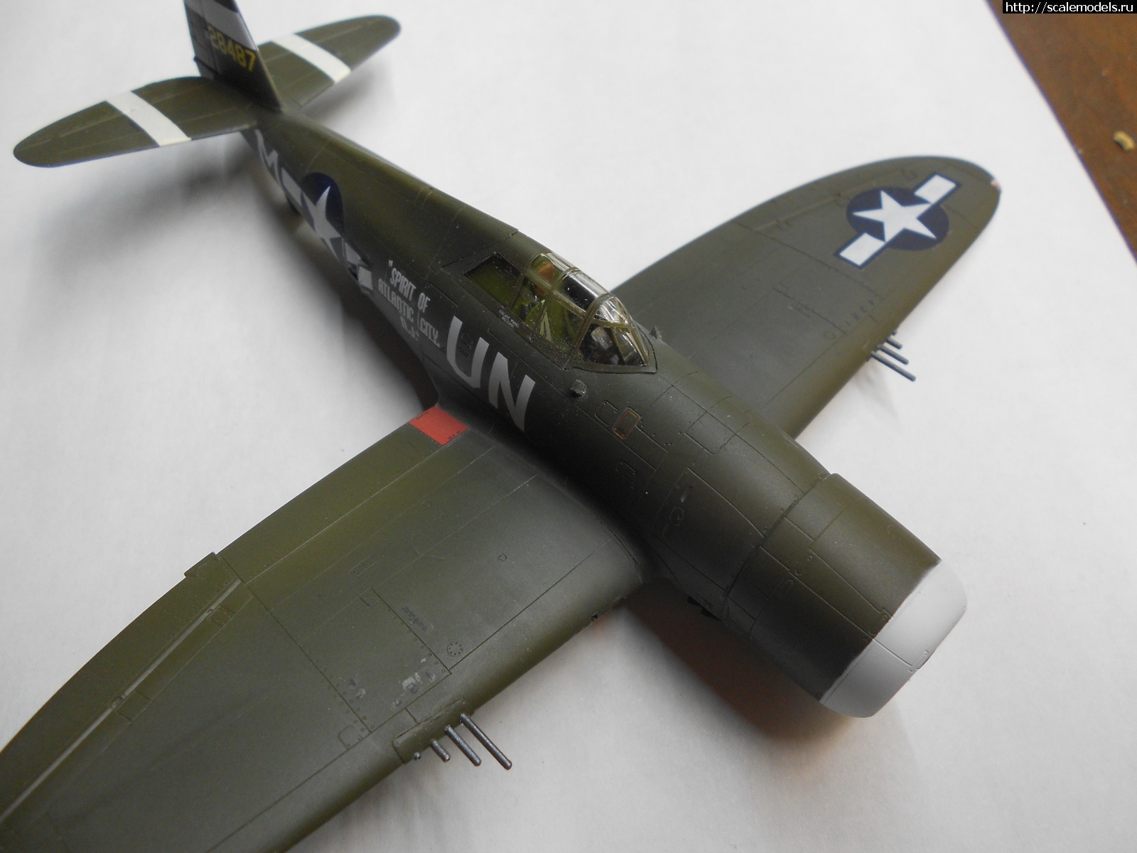 1618521235_DSCN0262.JPG : #1681092/ P-47D Razorback Tamiya 1/72    