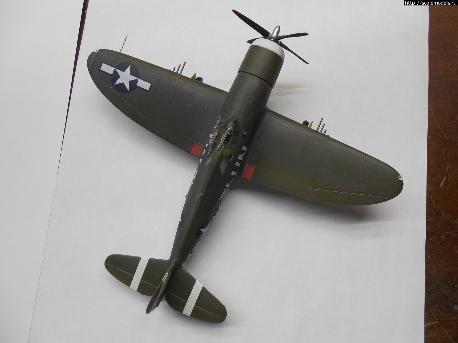 1618610503_DSCN0264.JPG : #1681212/ P-47D Razorback Tamiya 1/72    