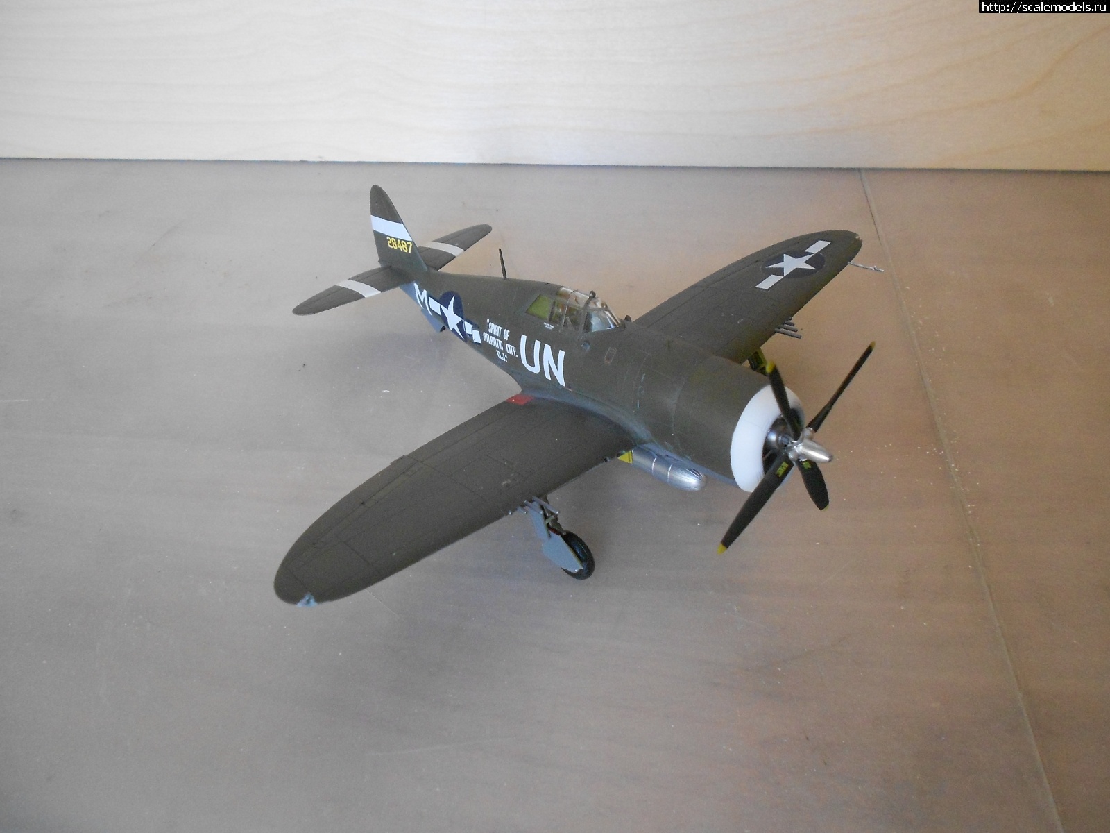 1618665024_DSCN0266.JPG : #1681230/ P-47D Razorback Tamiya 1/72    