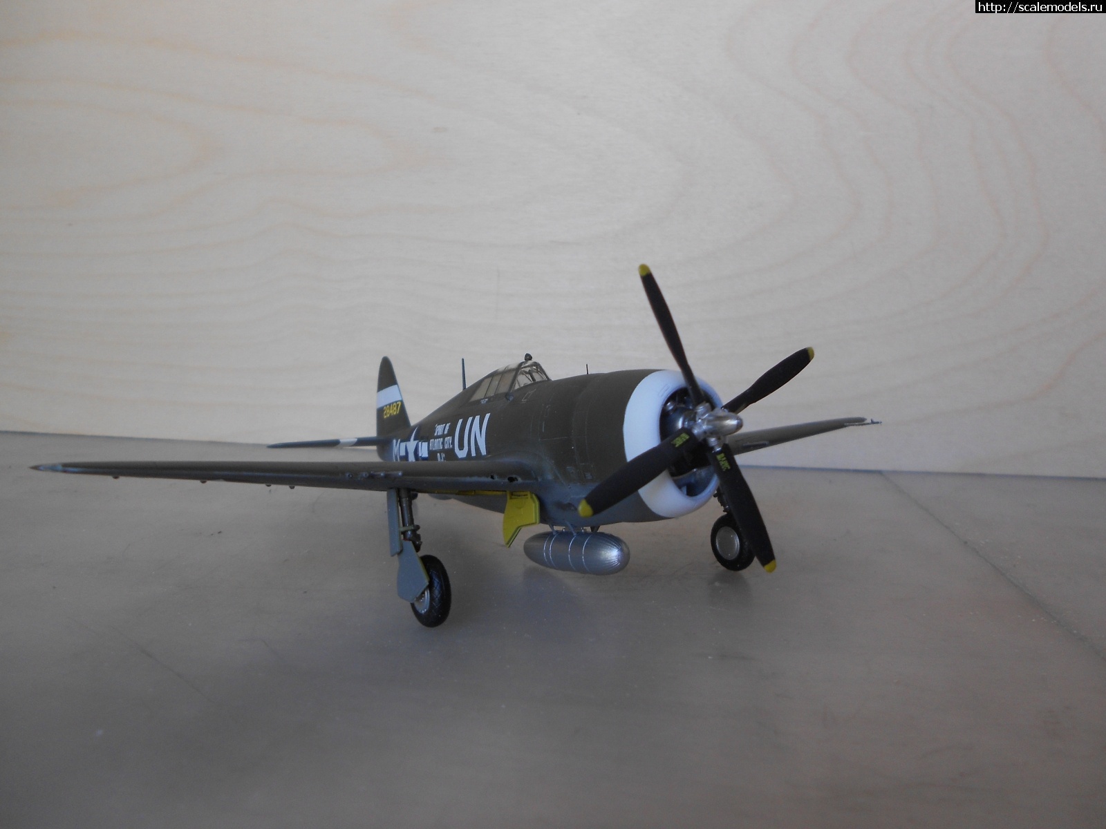 1618665049_DSCN0269.JPG : #1681230/ P-47D Razorback Tamiya 1/72    