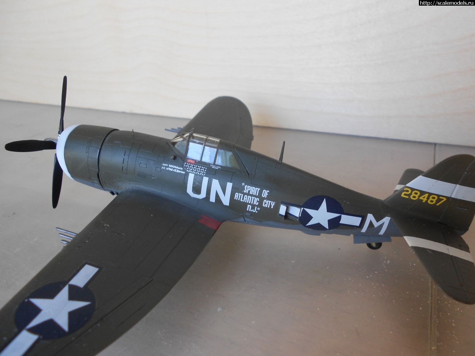 1618665069_DSCN0273.JPG : #1681230/ P-47D Razorback Tamiya 1/72    