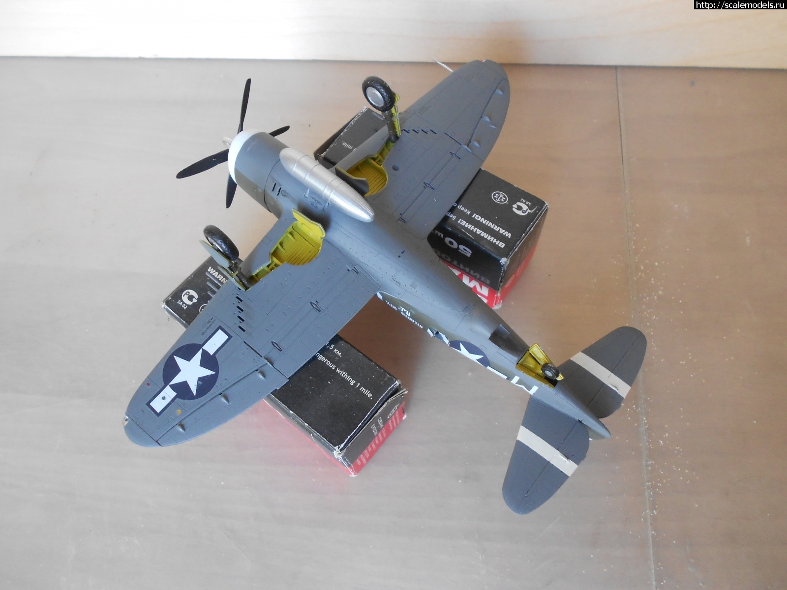 1618665078_DSCN0275.JPG : #1681230/ P-47D Razorback Tamiya 1/72    