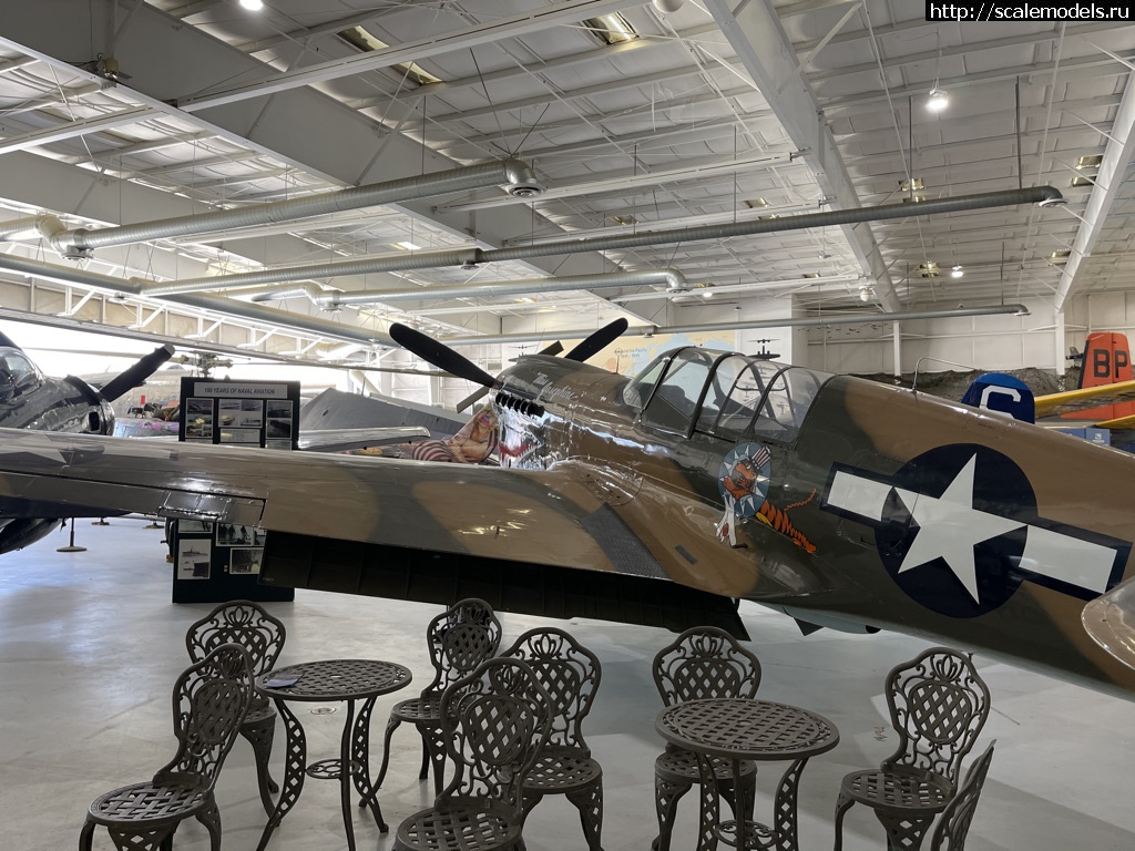 1618901522_2D3BBDC3-1D36-40CE-9E7C-B9D35F9E505D_1_105_c.jpeg : Walk around P-40 Warhawk  