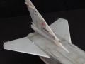 Trumpeter 1/48 -24 (/  04) 