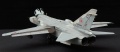 Trumpeter 1/48 -24 (/  04) 