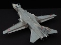 Trumpeter 1/48 -24 (/  04) 