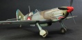 Tamiya 1/48 Dewoitine D.520