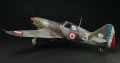 Tamiya 1/48 Dewoitine D.520