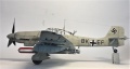  Hasegawa 1/32 Ju-87D4