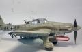  Hasegawa 1/32 Ju-87D4