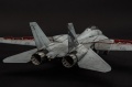 AMK 1/48 F-14D Super Tomcat, VF2 106