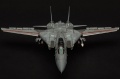 AMK 1/48 F-14D Super Tomcat, VF2 106