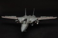 AMK 1/48 F-14D Super Tomcat, VF2 106