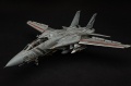 AMK 1/48 F-14D Super Tomcat, VF2 106