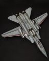 AMK 1/48 F-14D Super Tomcat, VF2 106