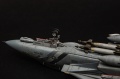 AMK 1/48 F-14D Super Tomcat, VF2 106