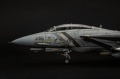 AMK 1/48 F-14D Super Tomcat, VF2 106