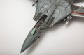 AMK 1/48 F-14D Super Tomcat, VF2 106