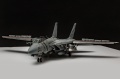 AMK 1/48 F-14D Super Tomcat, VF2 106