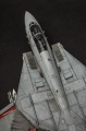 AMK 1/48 F-14D Super Tomcat, VF2 106