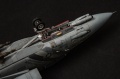 AMK 1/48 F-14D Super Tomcat, VF2 106