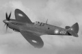 ICM 1/48 Spitfire PR Mk.XI Royal Danish Air Force -  